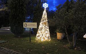2025 12 09 OULLIOULES PROMENADE (54)